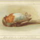 “May yours be a joyful Christmas.” (Image: Ttglibrary.com)